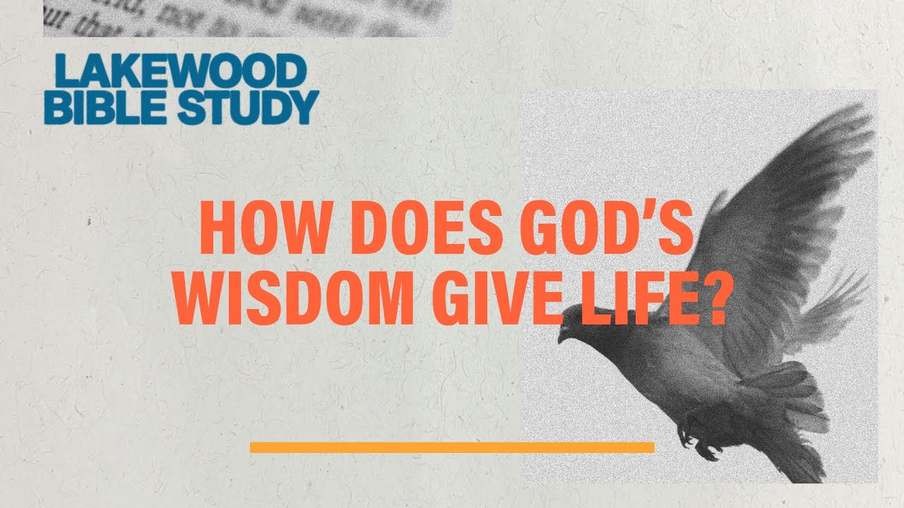The Wisdom That Brings Life Back Into Your Heart