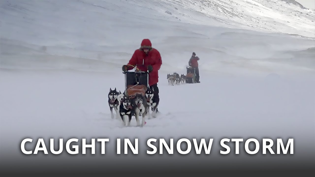Snow Storm Hits on Day 3 | Sled Dogs & Mountains at the Gate of Sarek