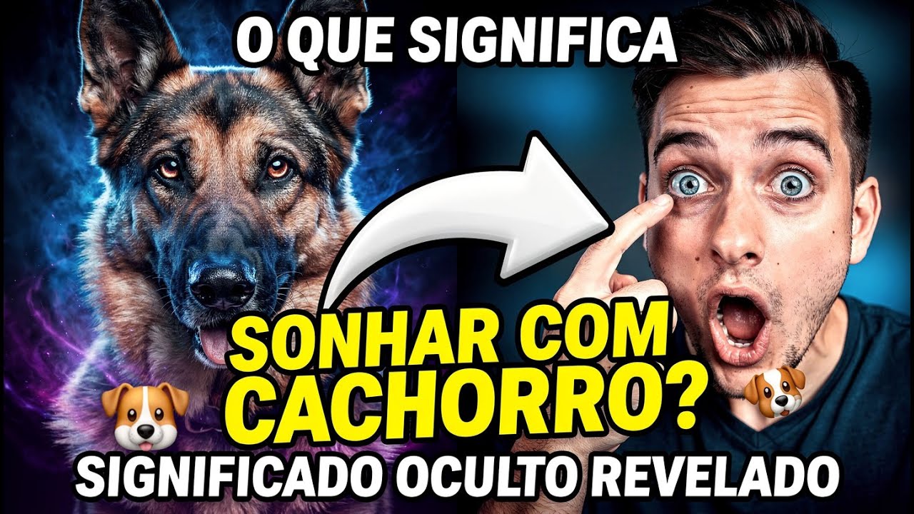 Sonhar com Cachorro: O SIGNIFICADO OCULTO Que Estão Escondendo de Você! 🐶