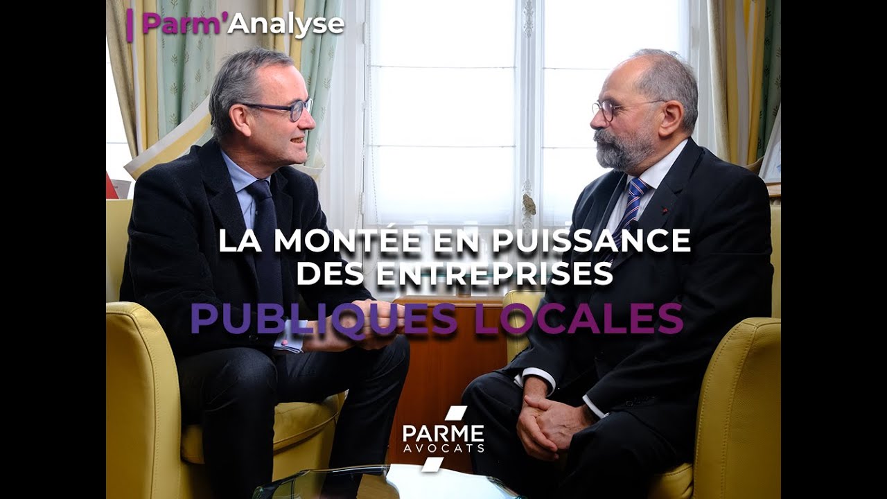 L'économie mixte par Philippe Laurent : 