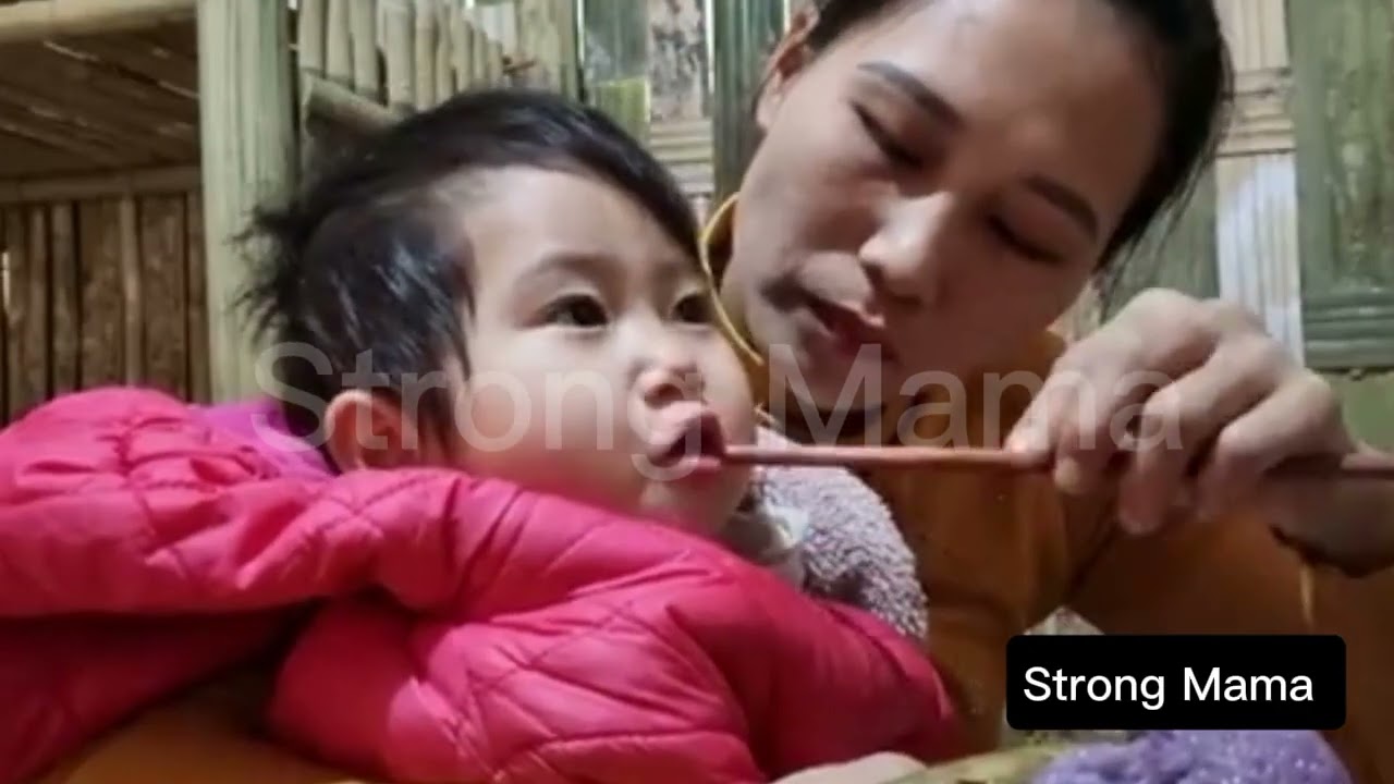 Building a Bamboo Farm for Market Income|making traditional cakes 