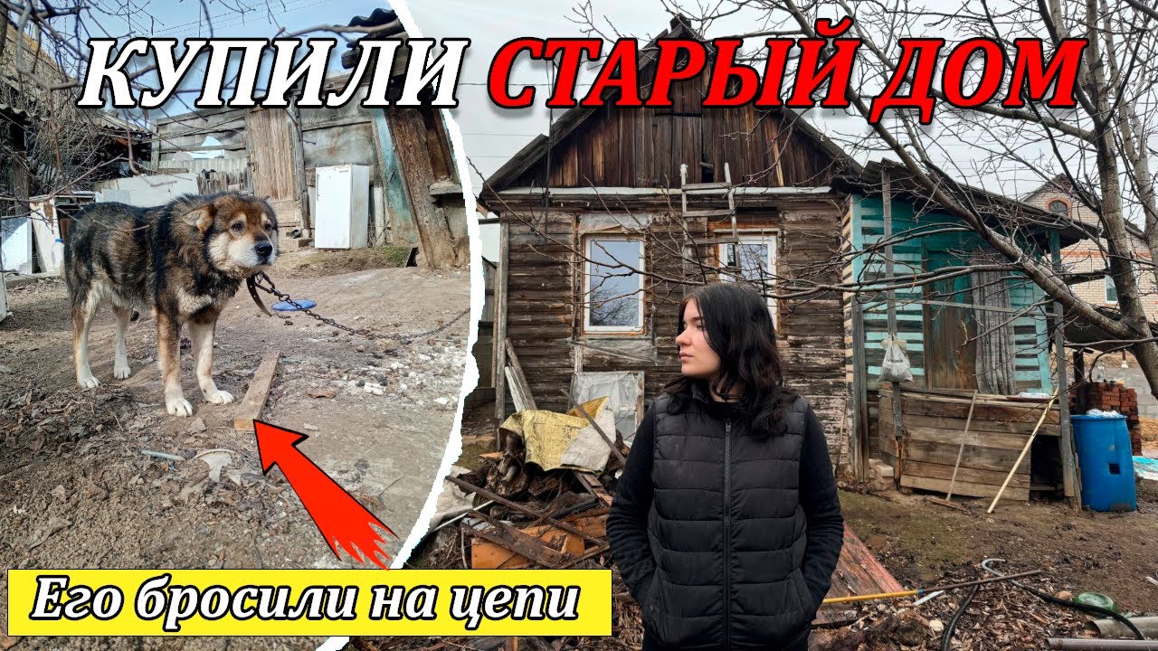 КУПИЛИ СТАРЫЙ ДОМ С БРОШЕННОЙ АГРЕССИВНОЙ СОБАКОЙ | Наша история
