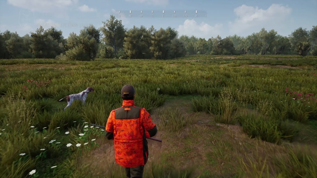 Hunting Simulator 2 - Pheasant hunting with German Shorthaired Pointer