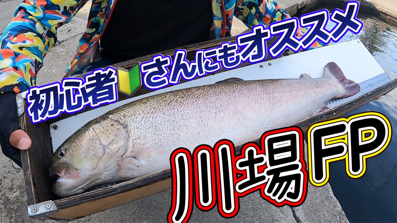 初心者おすすめ！大物狙いも数釣りも楽しめる川場フィッシングプラザ