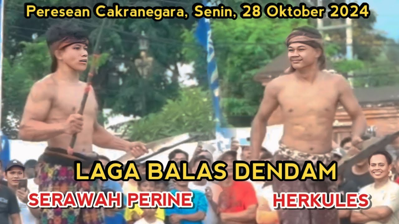 LAGA BALAS DENDAM, HERKULES DITANTANG SERAWAH PERINE PERTEMUAN KETIGAKALINYA |  PERESEAN CAKRA 2024
