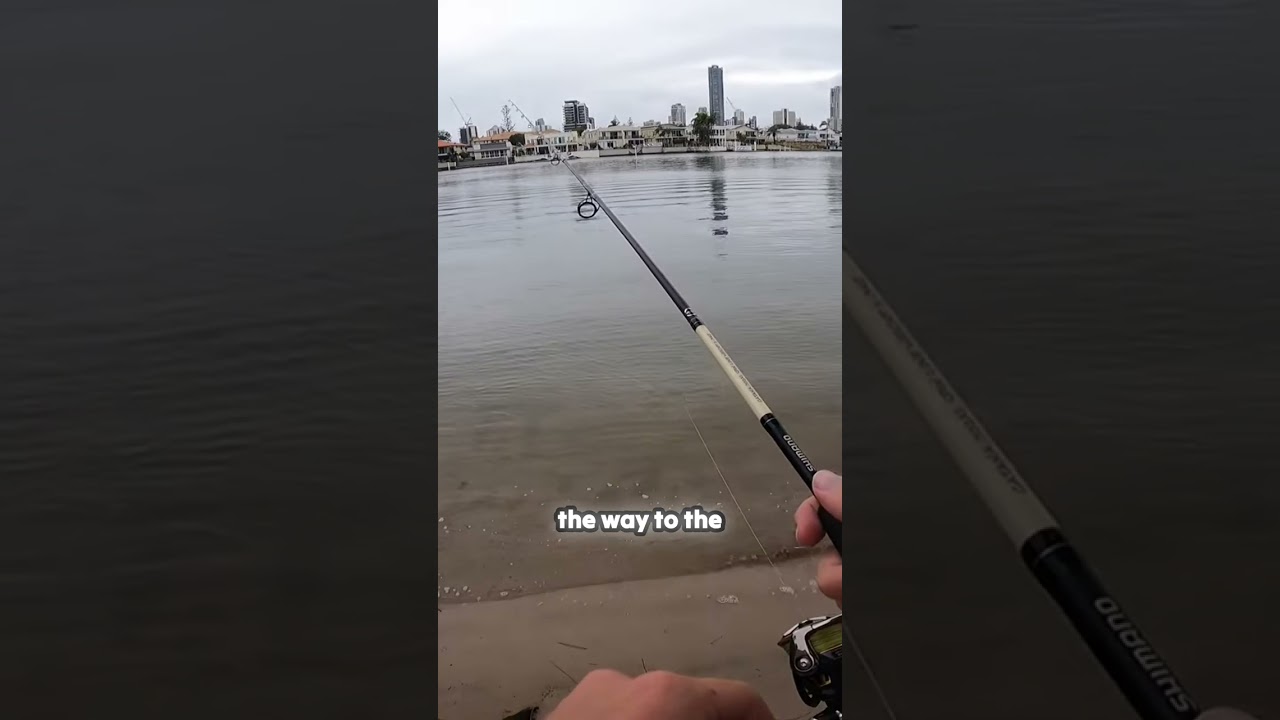 🎣 Mastering Soft Plastic Lure Fishing 🎣 Flathead fishing gold coast