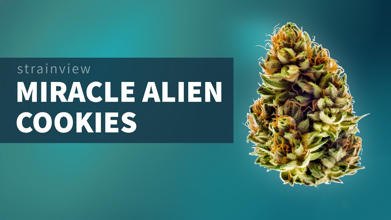 Miracle Alien Cookies - StrainView