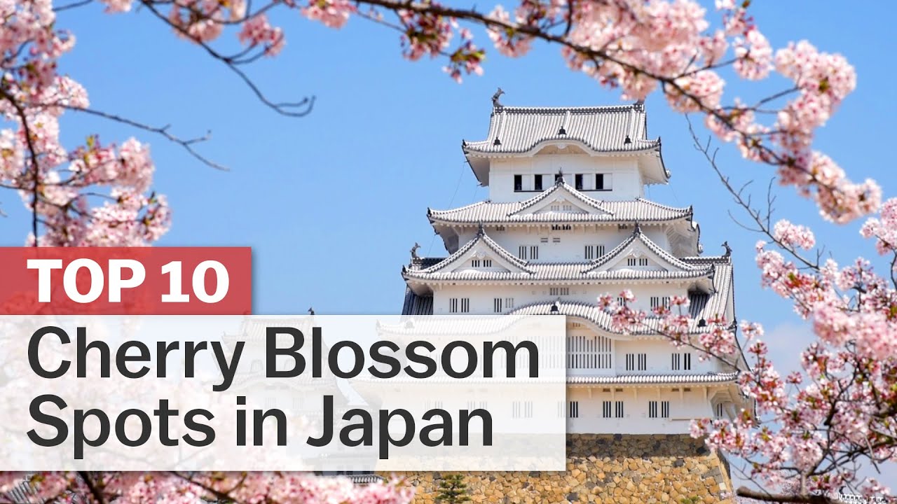 Top 10 Cherry Blossom Spots in Japan
