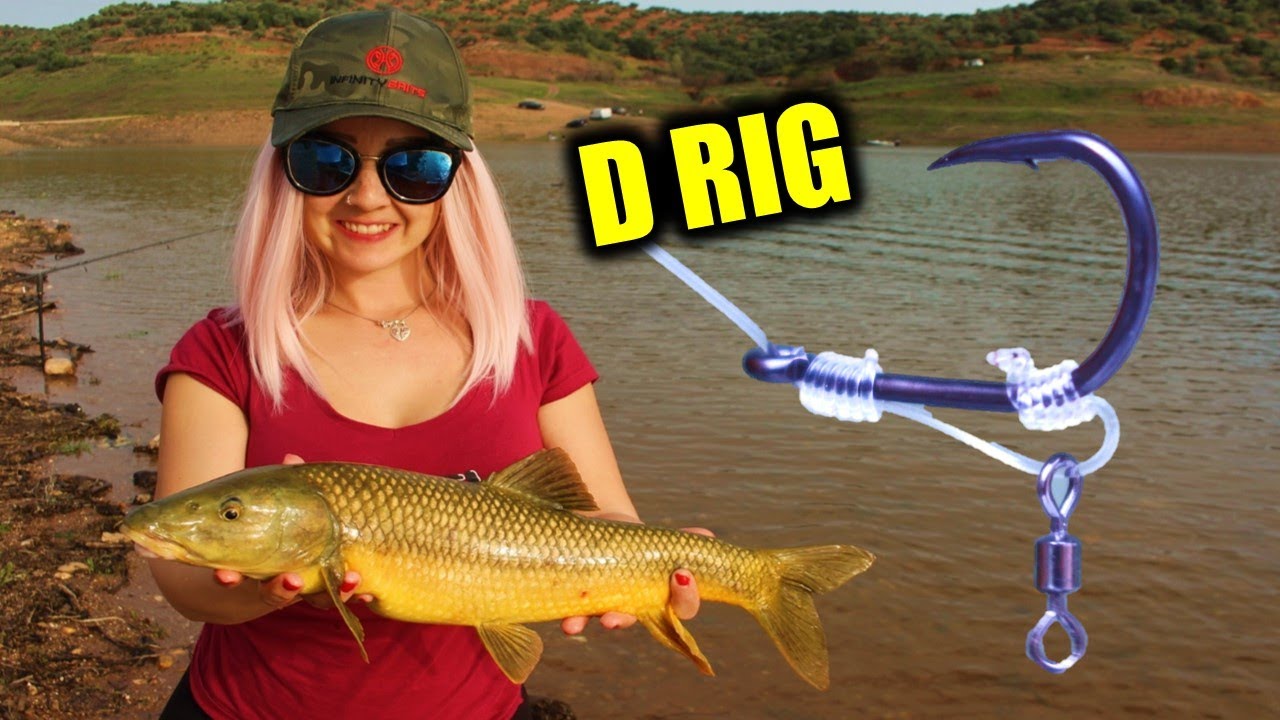 PESCA de Barbos con MONTAJE  D-RIG Carpfishing