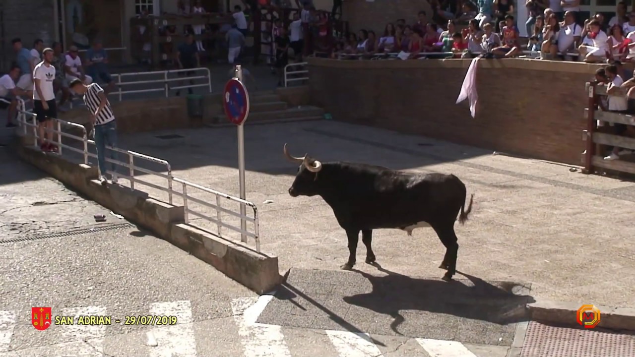 Tv San Adrian - 29/07/2019 - Fiestas - Encierro