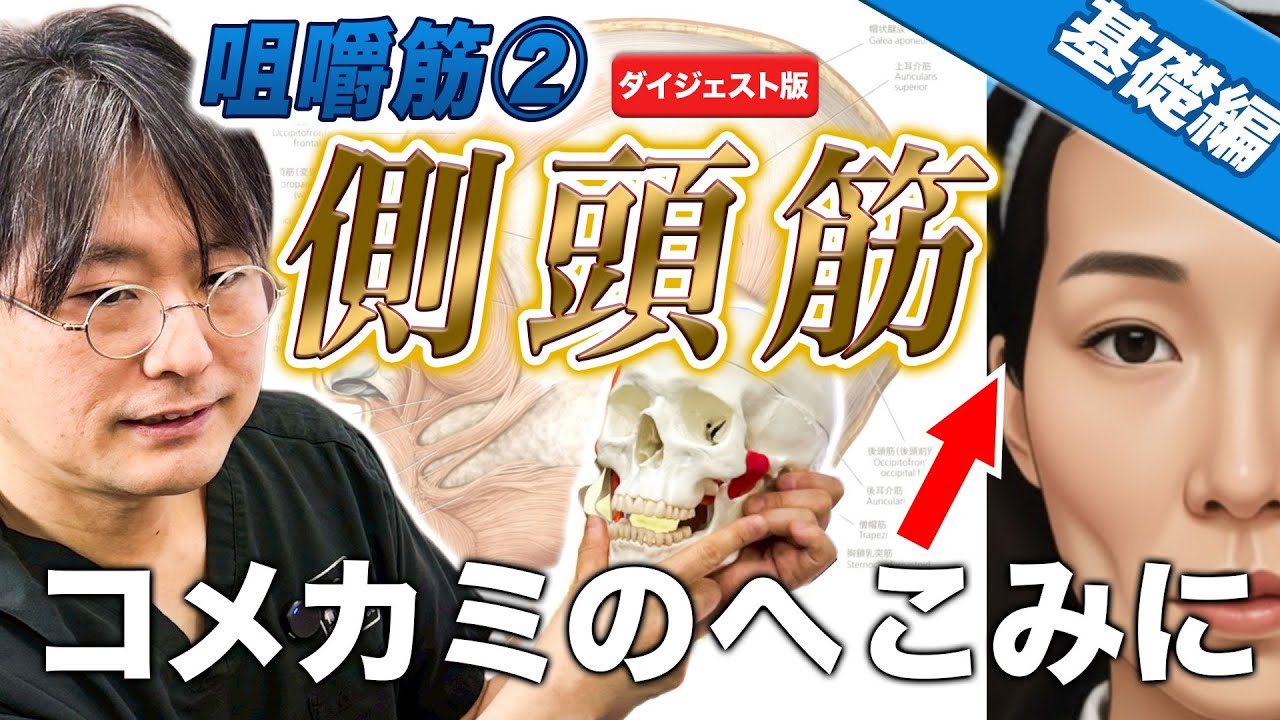【ダイジェスト版】咀嚼筋②コメカミのへこみに側頭筋 基礎編[さつま式YouTube講義Vol.21]