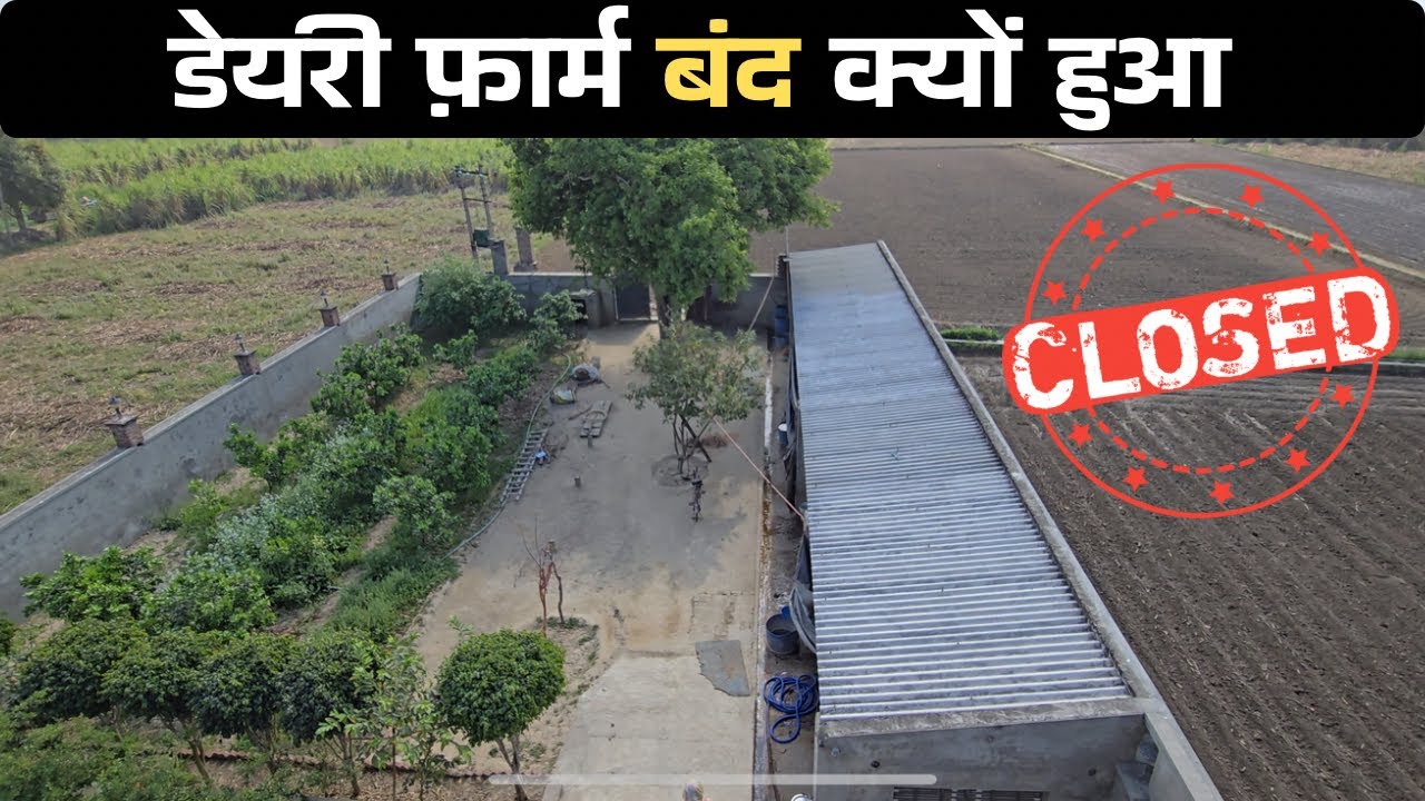 12 कारण डेयरी फ़ार्म बंद होने के  ||   ||  1 March  2025
