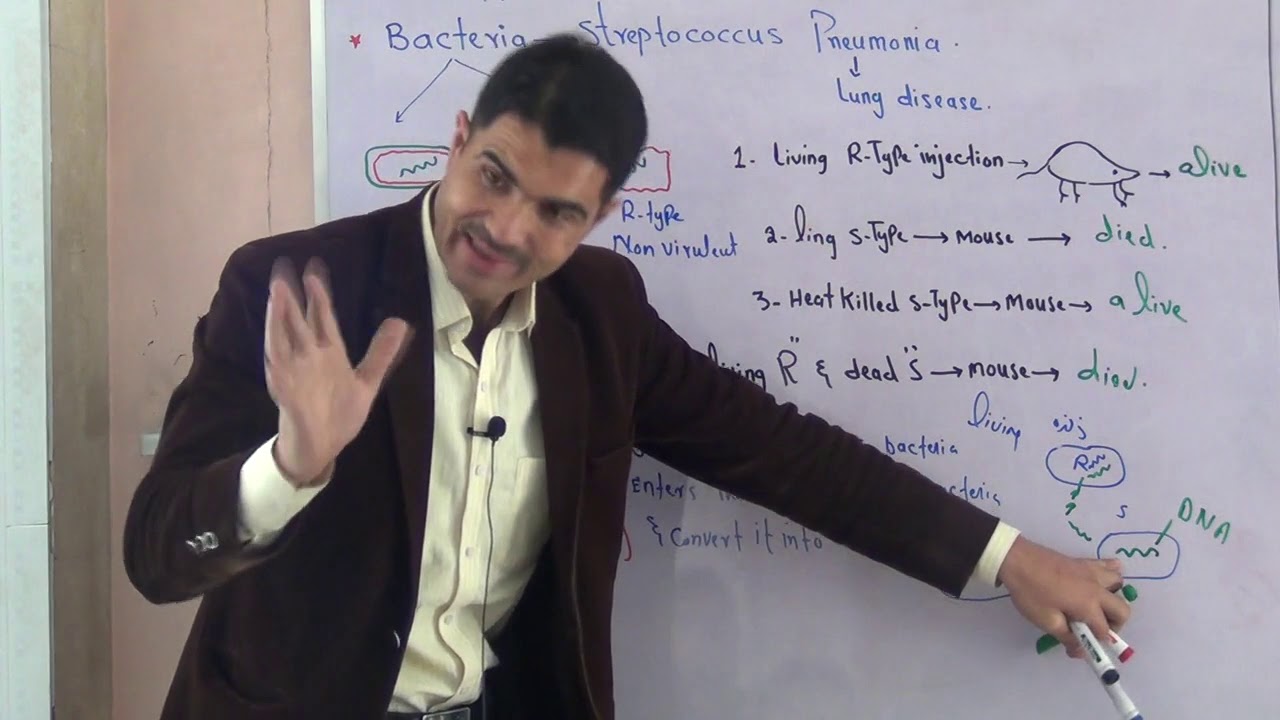 L-3 DNA as Hereditary material ,'Harshy and CHASE experiment in Urdu||Hindi by Dr Hadi