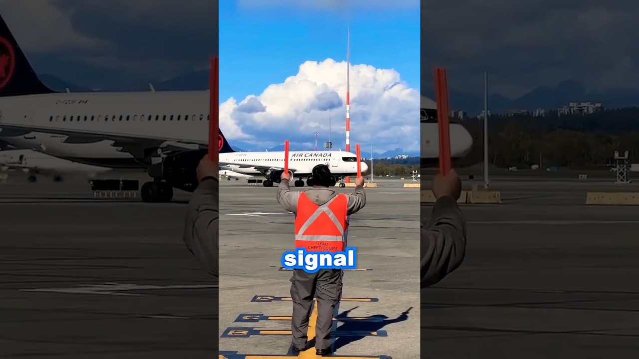 Гид самолета потерпел неудачу в аэропорту 😂