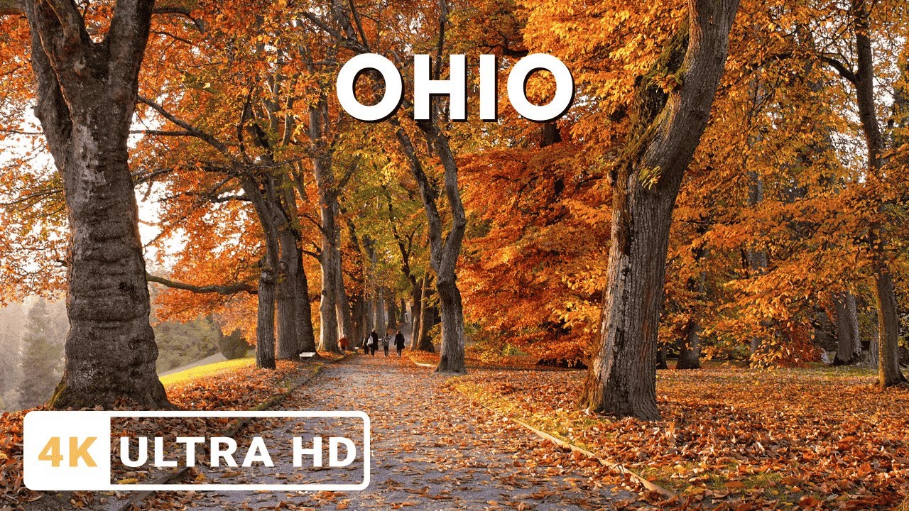 Autumn in Ohio 4K UHD | Golden Forests & Tranquil Nature Scenes | Autumn Vibes