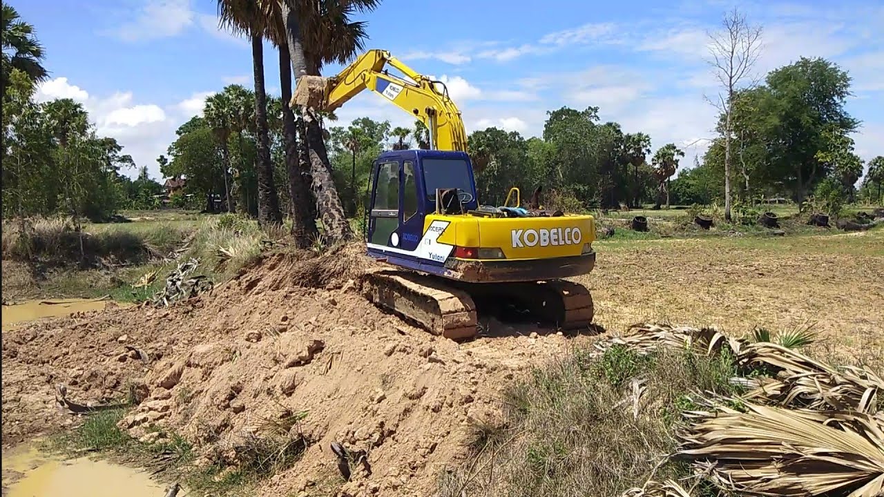 งานแรกของน้องใหม่โท1 !! จัดการต้นตาลพื้นที่ยืนแคบซะด้วย 