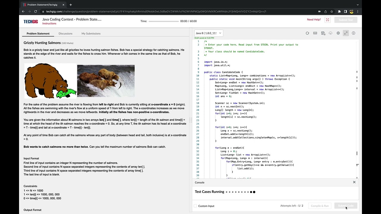 Grizzly Hunting Salmons | techgig | Solution