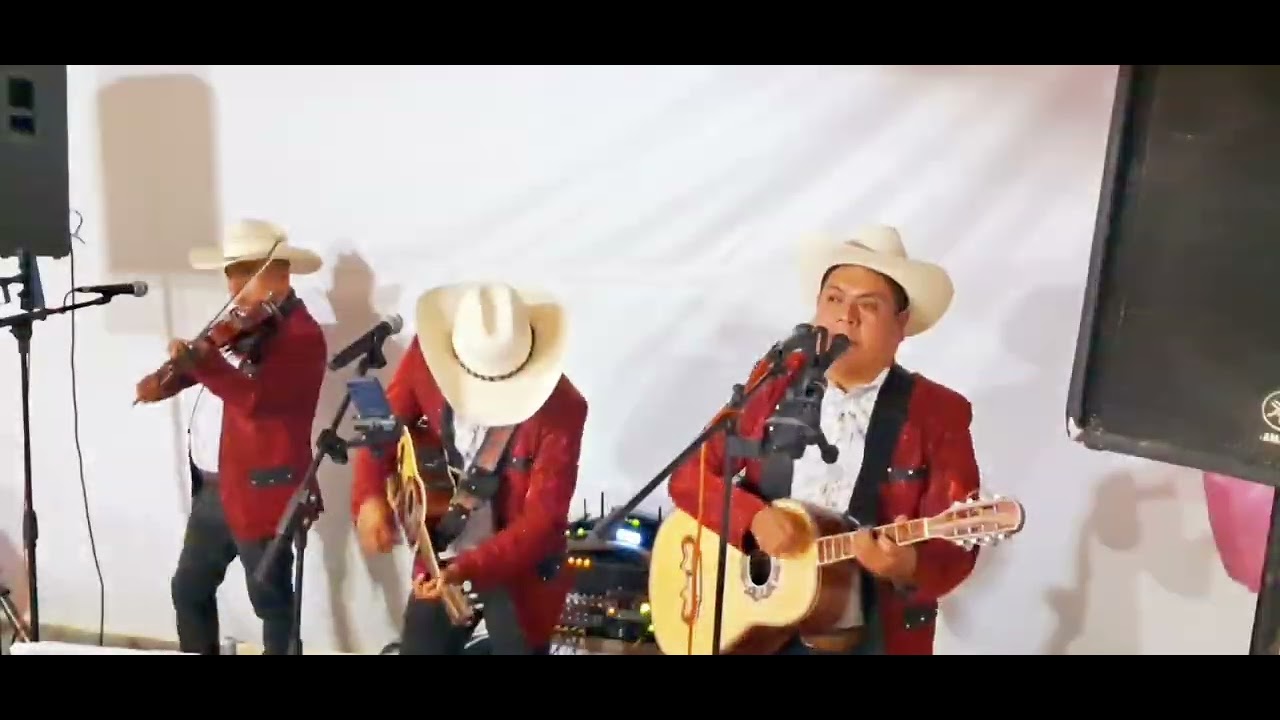 Al ritmo de polka con el trio nueva imagen los hermanos Morales