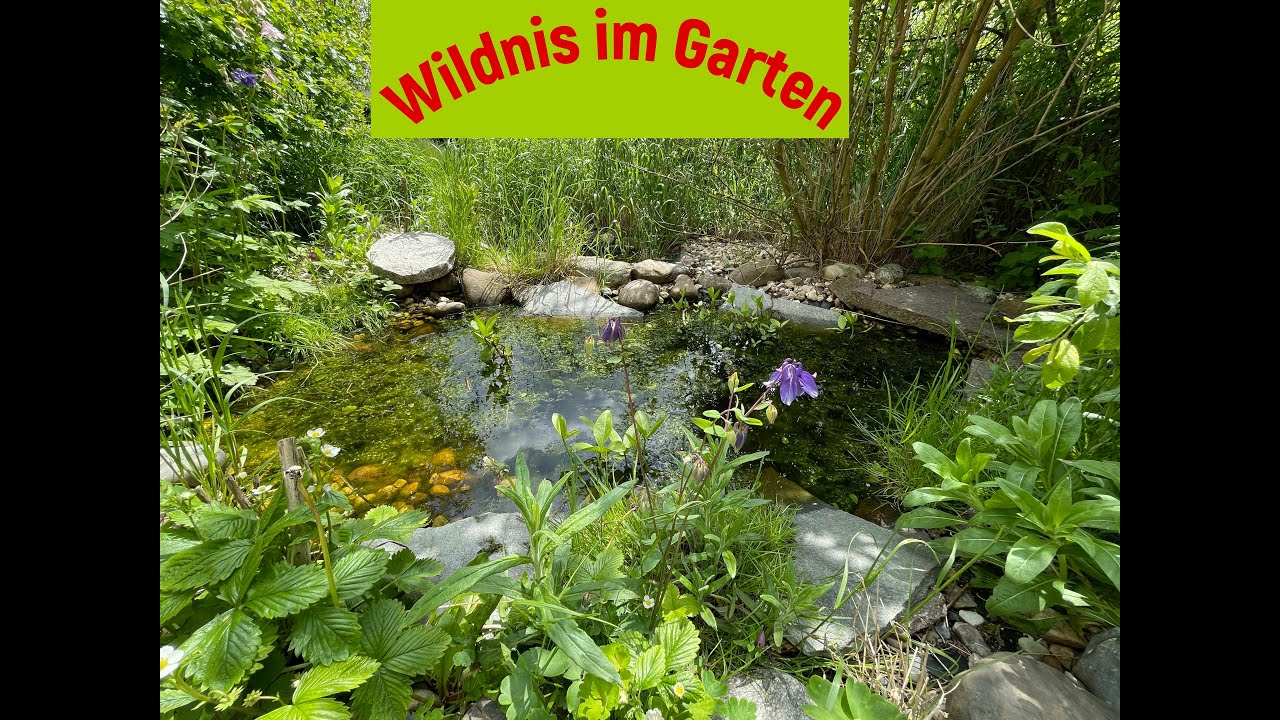Wildnis im Garten; Artenvielfalt und Biodiversität