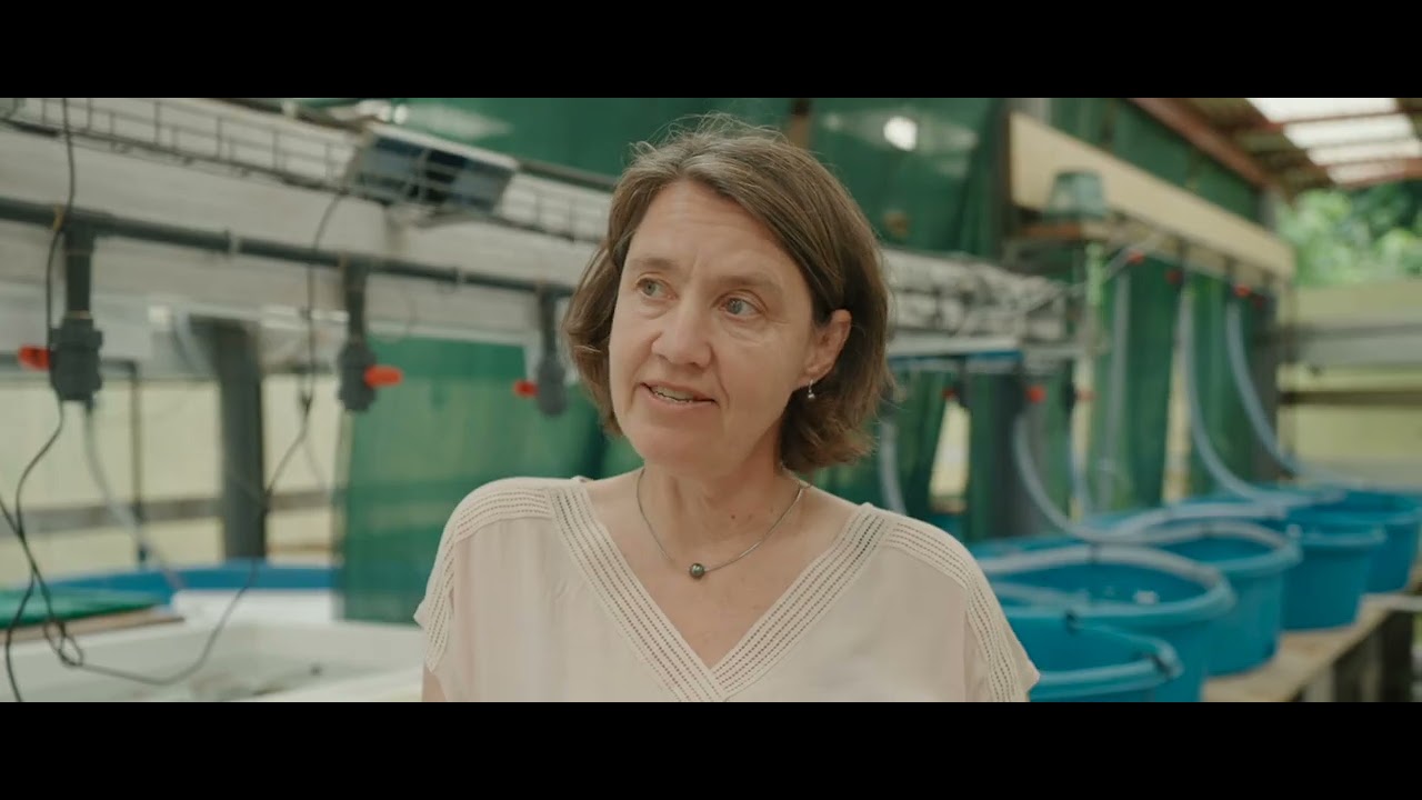Turning Tides | Hearing from scientists on the front lines