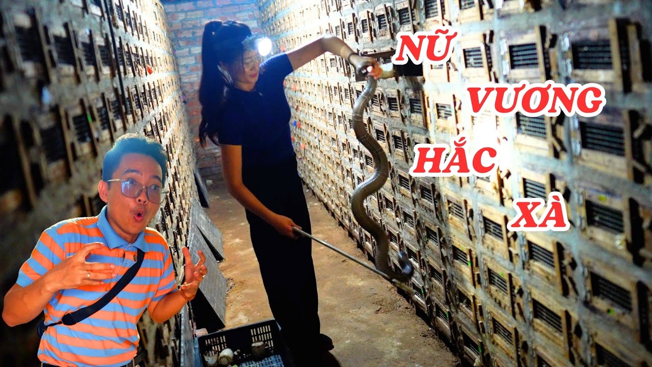 Gặp nữ vương hắc xà đang nuôi hàng ngàn con rắn và có thể nhảy múa cùng chúng - ĐỘC LẠ BÌNH DƯƠNG