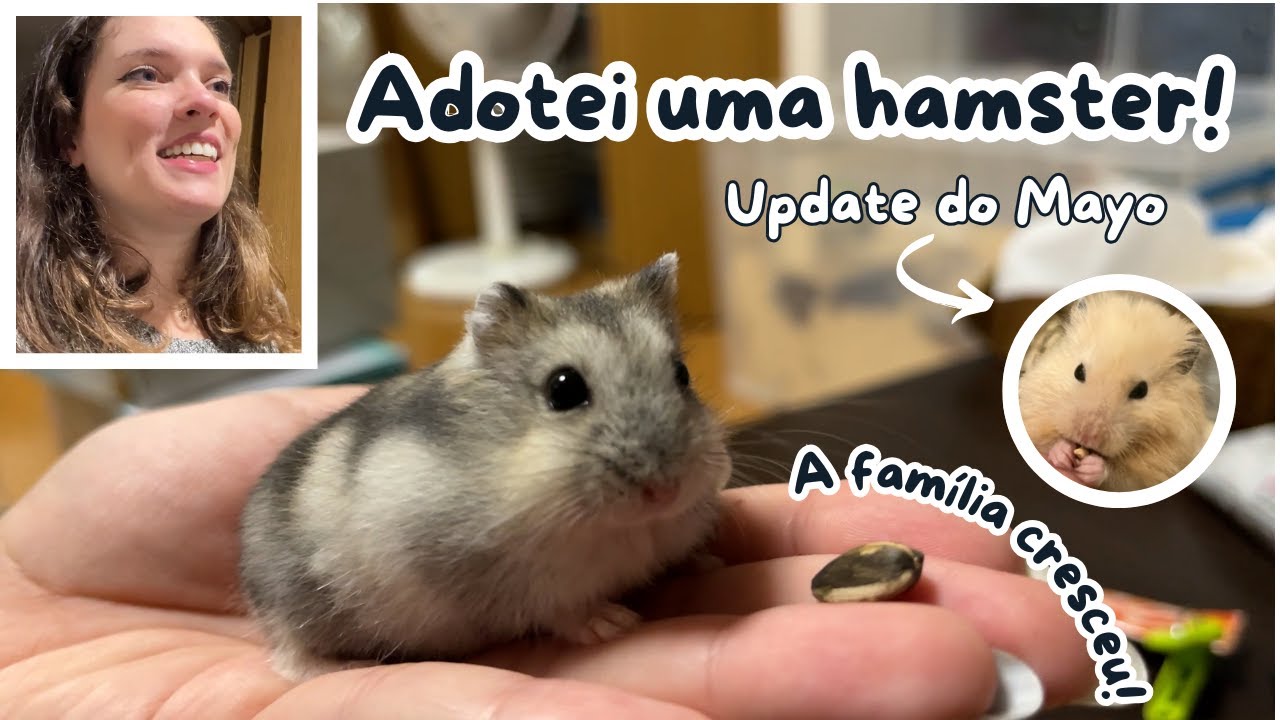 Adotei outro hamster no Japão!