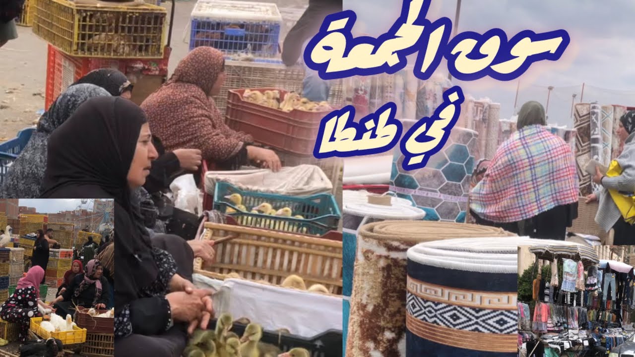 سوق الجمعة في طنطا المكان اللي بتحس فيه بروح البلد حكايات  وأجواء ماتتعوضش!سوق البط والفرخ والطيور🦆