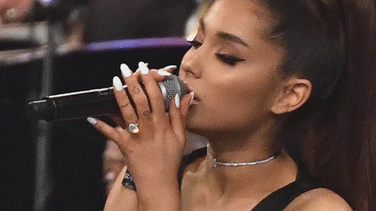 Ariana Grande Returns Engagement Ring but Keeps Pig Following Breakup