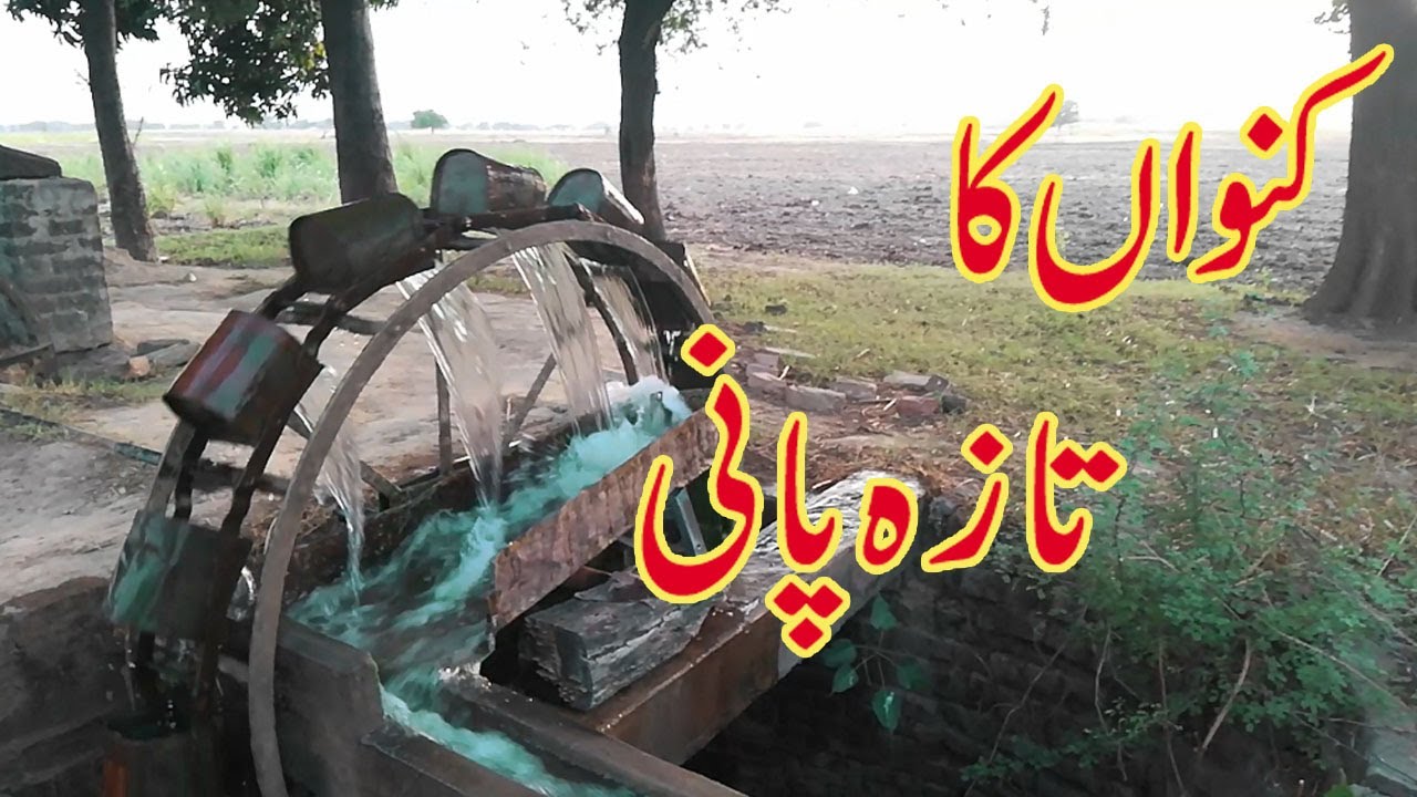 Old water well produce water in village life Punjab Pakistan By AsimChaudharyvlog
