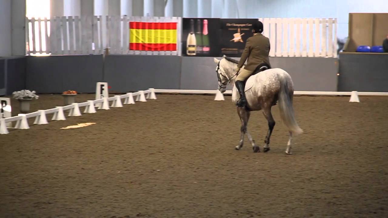Harriet Dean riding Catrina