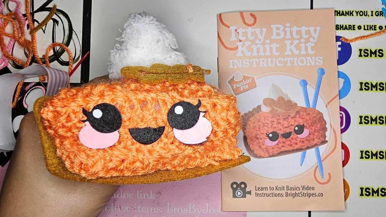 Five Below Itty Bitty Knit Kit Punkin' Pie How to knit For Beginners