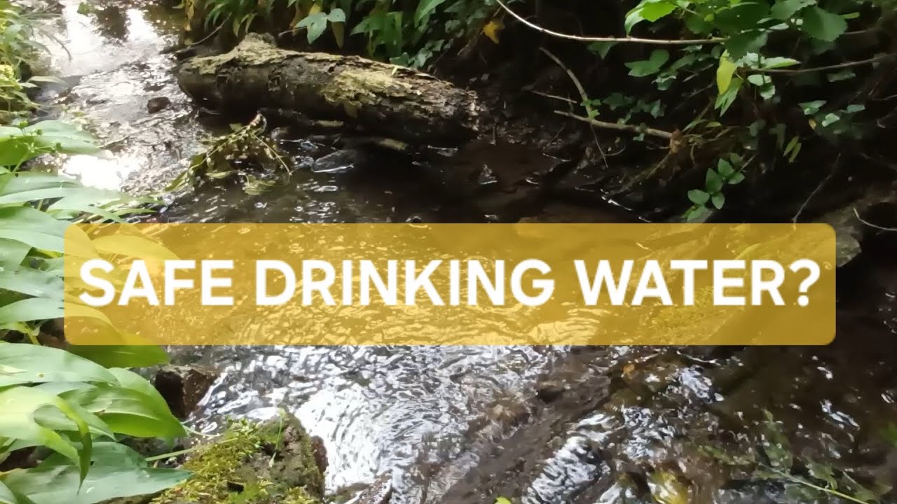 How safe is my drinking water? Using the Kactoily Water Quality Tester and filtering natural water. 