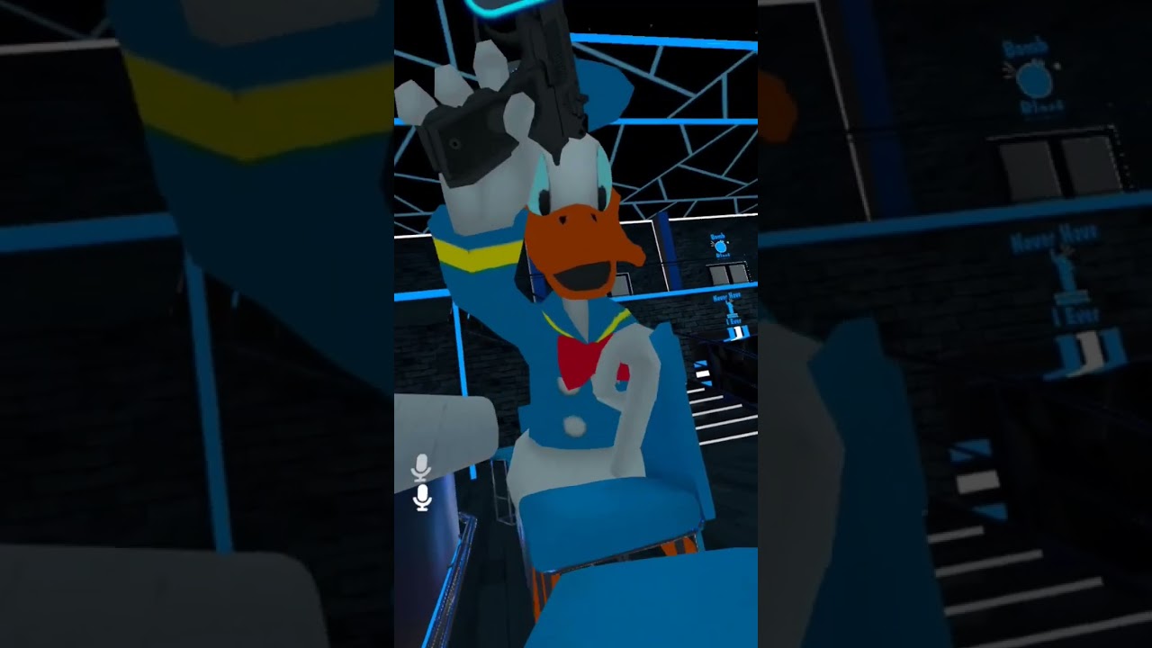 5- VR CHAT 