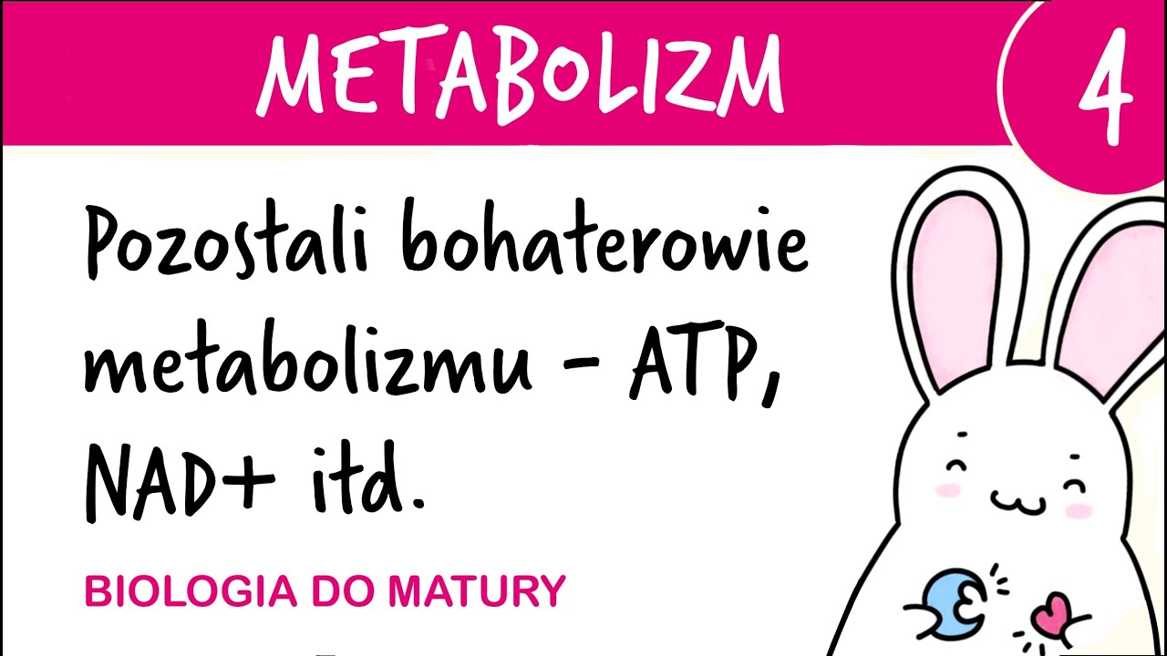 Metabolizm 4 - Pozostali bohaterowie metabolizmu (ATP, NADP, NAD, FAD) - biologia matura rozszerzona