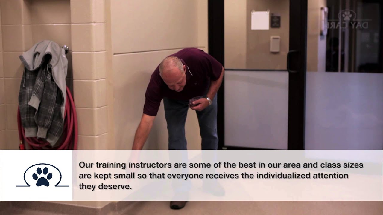 Behavior Training 1