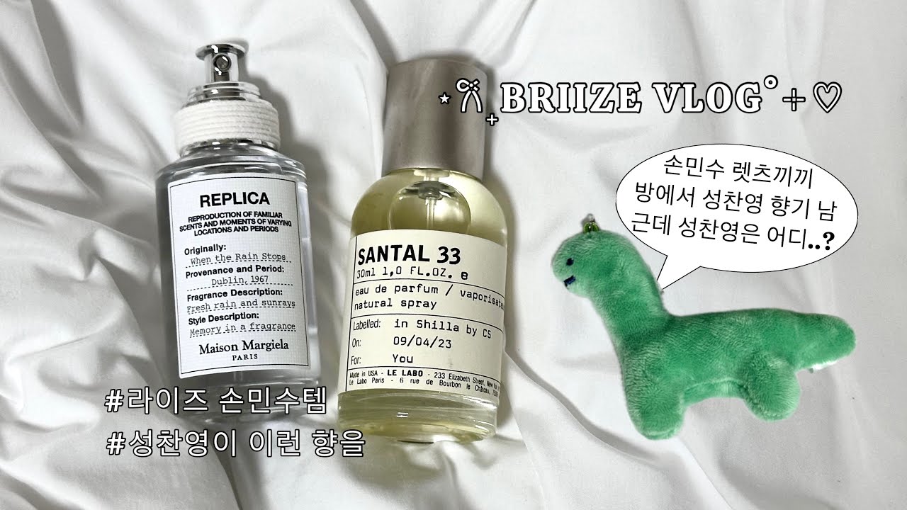 [브리즈 브이로그] 라이즈향기 쓰읍하 이건 아니지예;; 맛꿀마쌉꿀마맛깔끼노 ❥ 라이즈 향수 • 라이즈 손민수템 • 향수 추천 • 택배깡 • 브리즈로그 • 지쿠 • ZIKOO