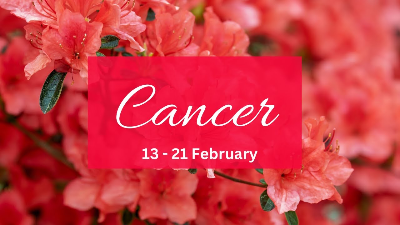 Cancer❤️3Aces!Unexpected apology/offer from the one that was indecisive about u & disrespectful!