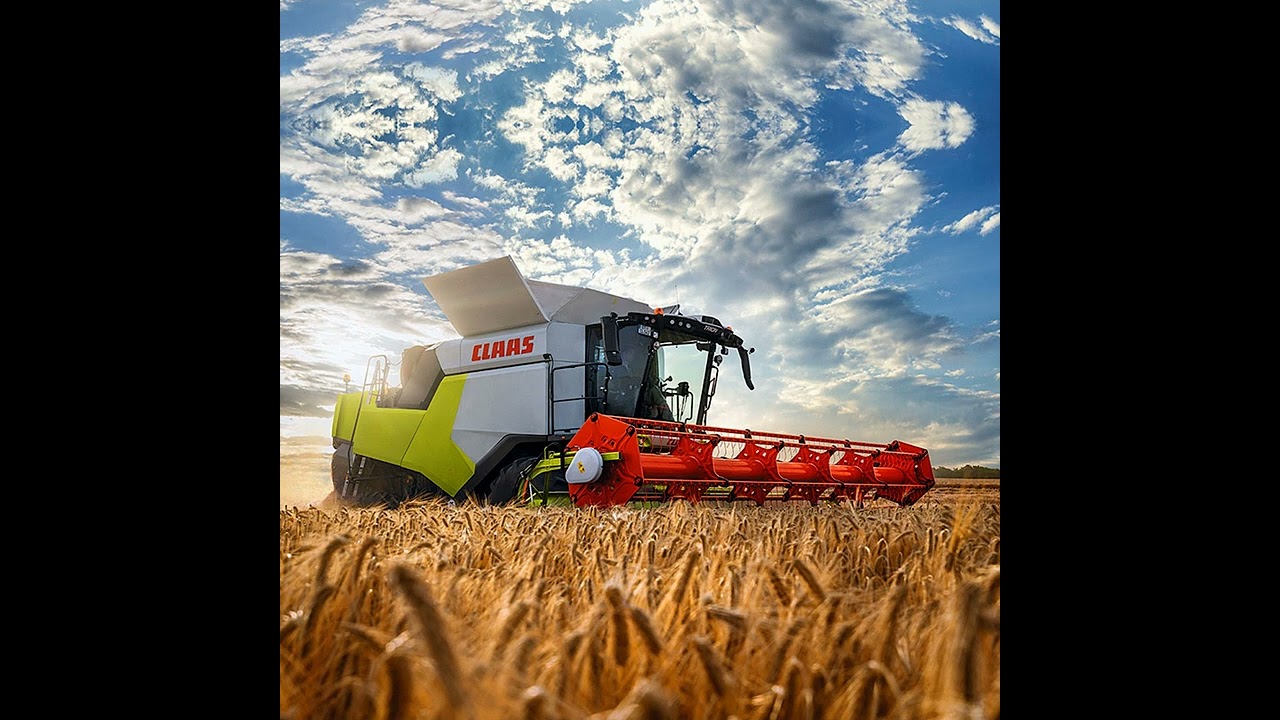 Golden Harvest #music #song #kidssongs #kidssong #kidsstory #summer #wheat #harvest #combine