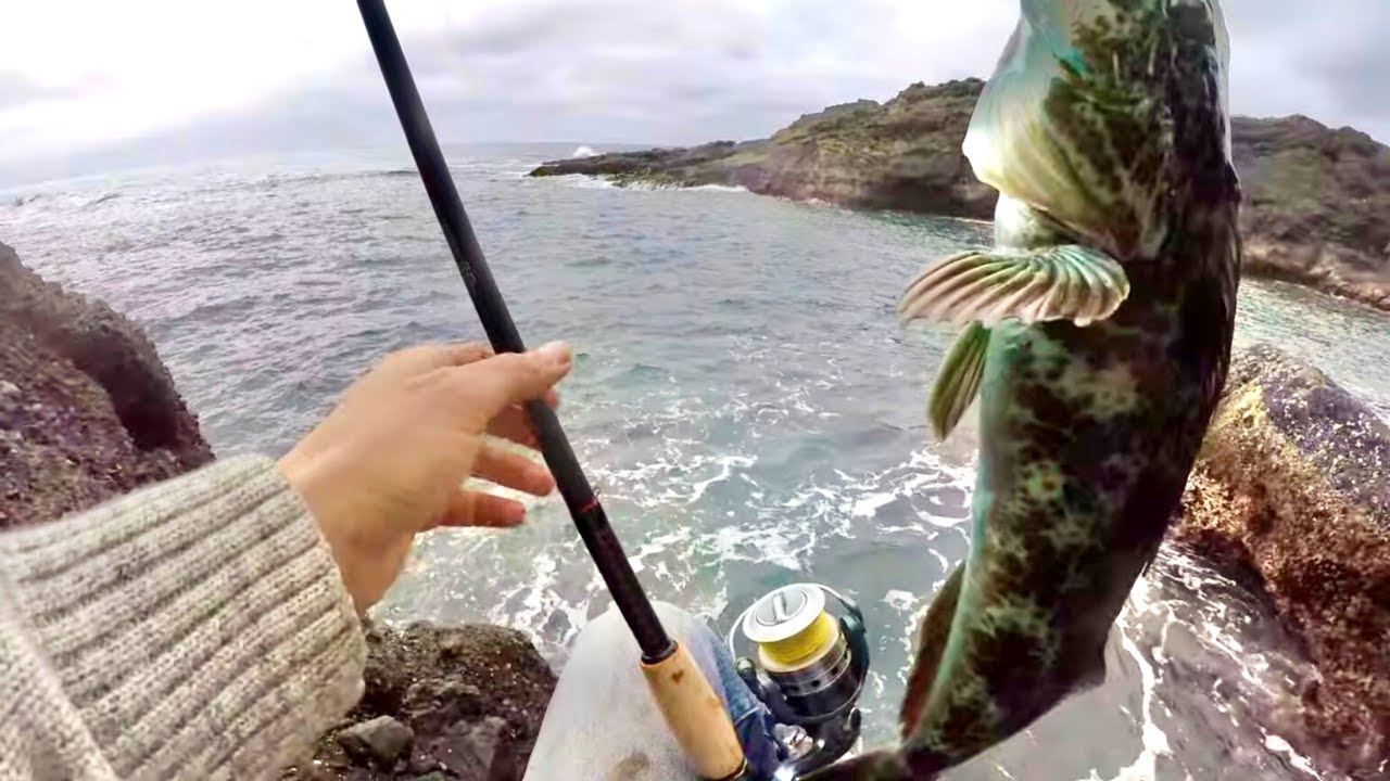 Lingcod Fishing From CLIFFS On The Oregon Coast CATCH & COOK Lingcod