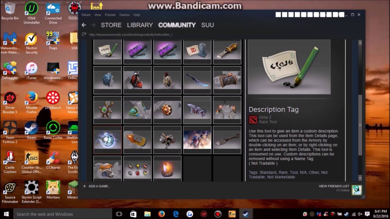 Steamrep report