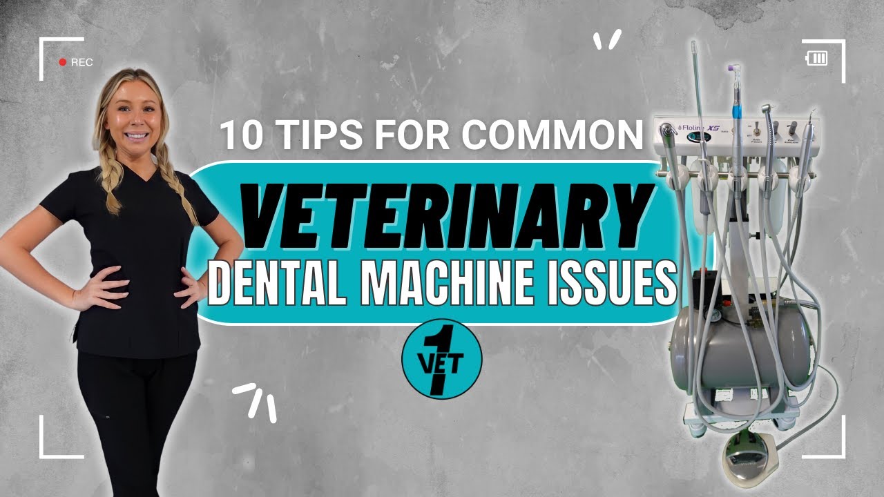 FREE VET NURSE WEBINAR: How to fix Dental Machine Issues🩺  10 TIPS FOR VETS & VET NURSES 🐾 Vet1