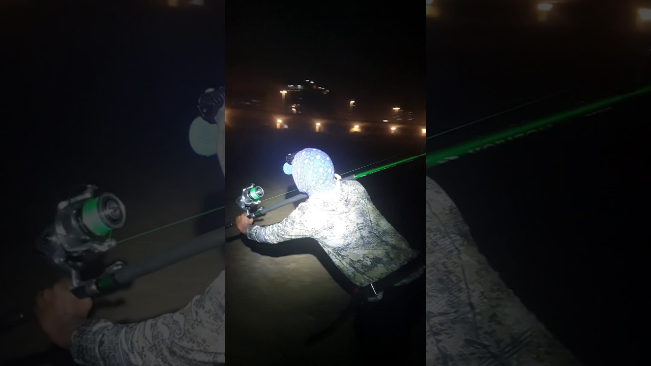 GIANT SAND SHARK!!!! 2m+ Epic Battle. DURBAN, Ushaka basin. fishing life