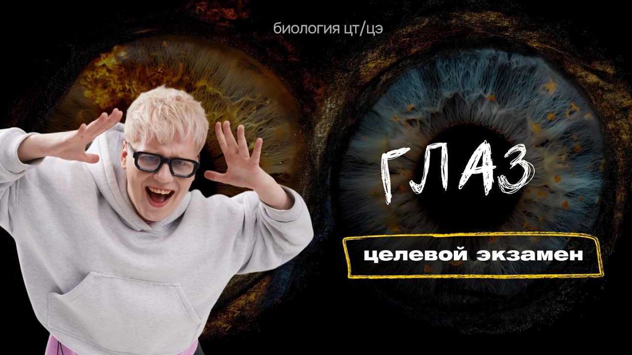 СЕНСОРНЫЕ СИСТЕМЫ. ГЛАЗ | Целевой экзамен