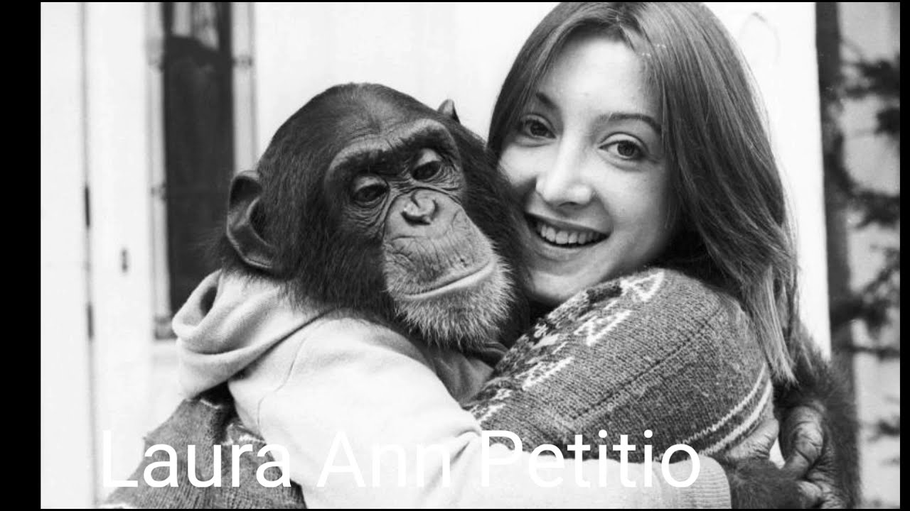 The Tragic True Story Of Nim, The Chimp Who Talked!