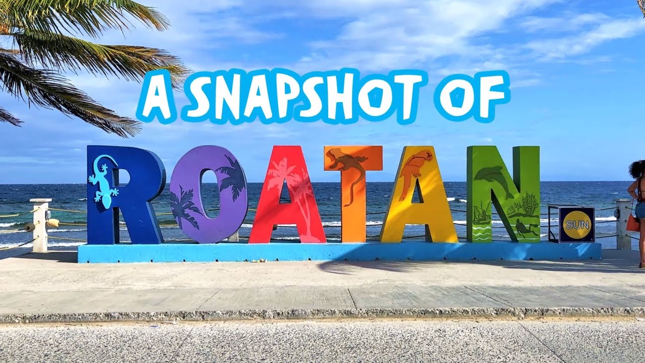 Roatan 2019 Snapshot