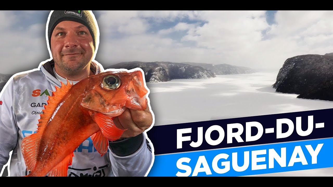 Pêche au poisson de fond dans le fjord du Saguenay - Christian Fournier: 12 mois par année Ép 05