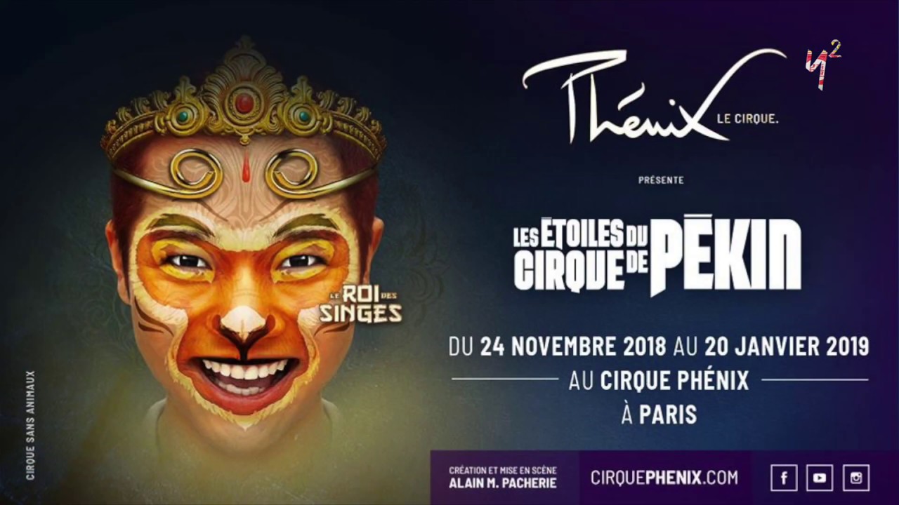 Y2TV : LE ROI DES SINGES