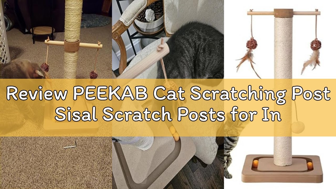 Review PEEKAB Cat Scratching Post Sisal Scratch Posts for Indoor Kittens and Cats,with Interactive T