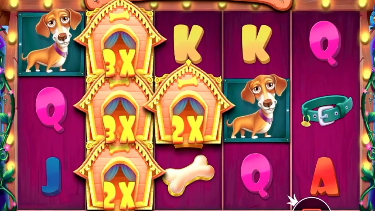 👑 The Dog House Big Win #2 💰 A Game By Pragmatic Play.