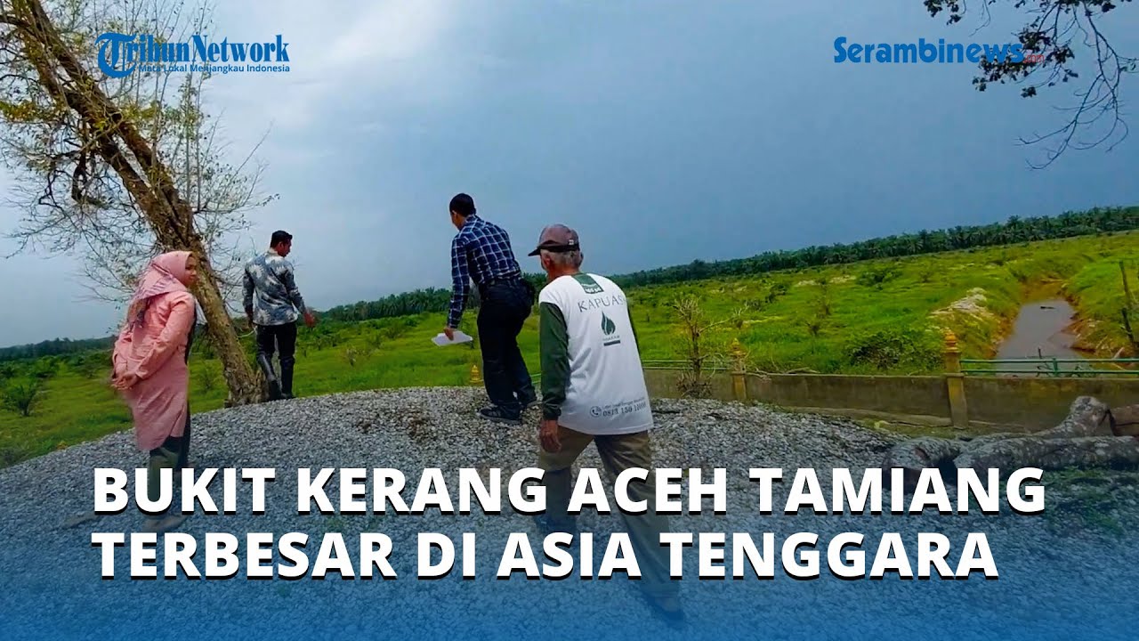 Bukit Kerang di Aceh Tamiang Diklaim Satu-satunya yang Tersisa di Asia Tenggara